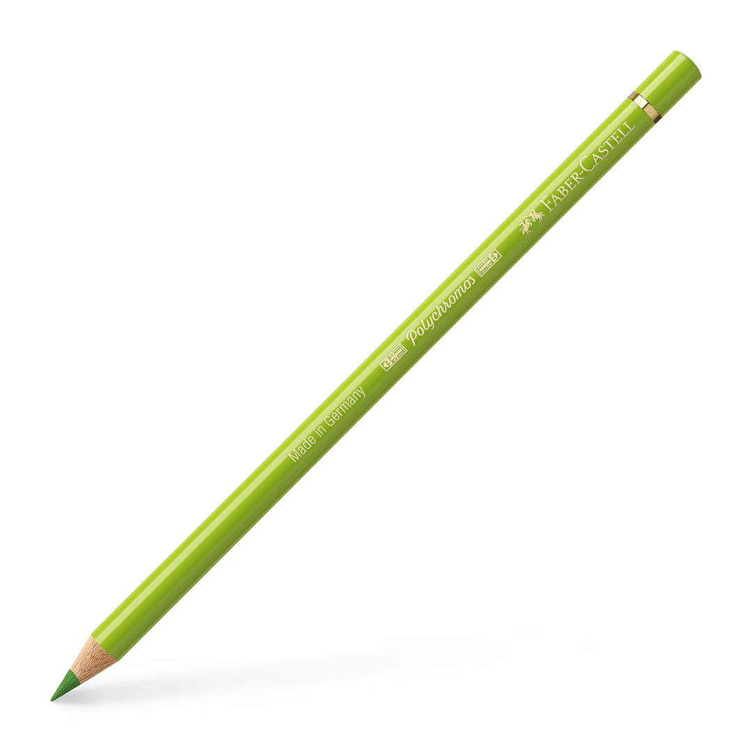 Faber-Castell Polychromos Colour Pencil 170 May Green Box Of 6 - A110170
