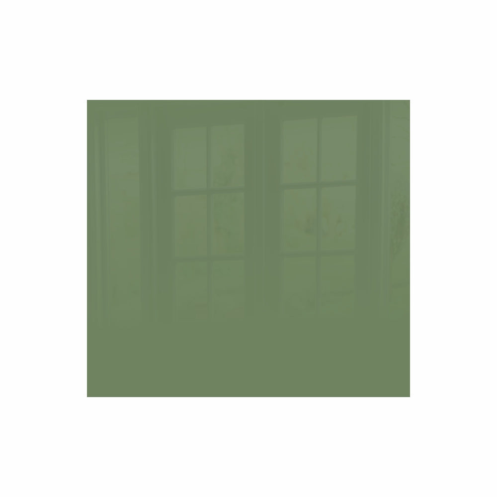 Parrot Reseda Green Hob Splashback (598 X 650 X 6mm) - SB6065RG