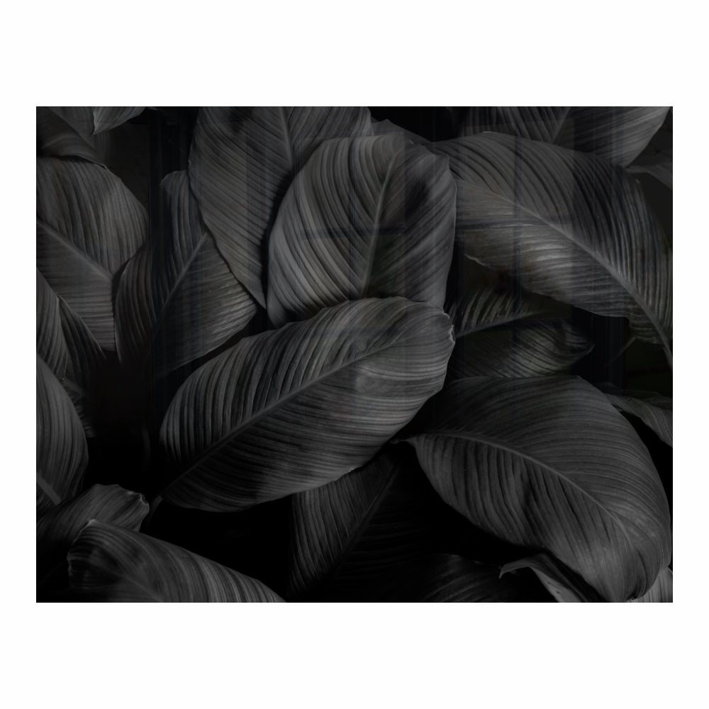 Parrot Feathers Hob Splashback (898 X 700 X 6mm) - SB9070BF