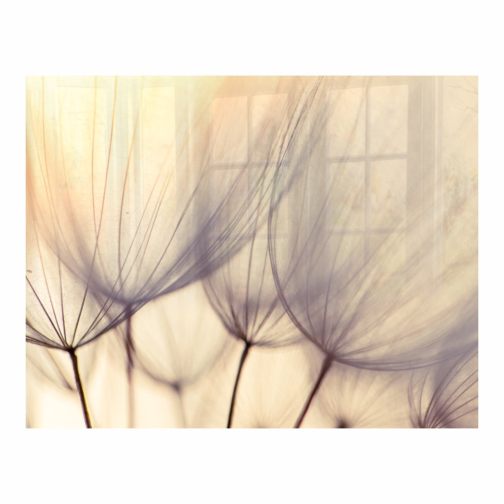 Parrot Dandelion Floret Hob Splashback (898 X 700 X 6mm) - SB9070DF