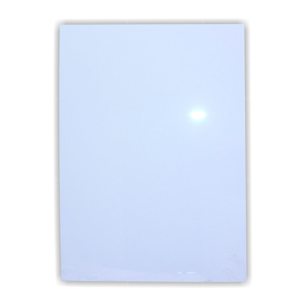 Parrot Poster Frame Clear Media Cover 1.2mm