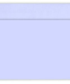 90X152 WHITE PLAIN Self Seal Envelopes 25 Envelopes - ENV 9981