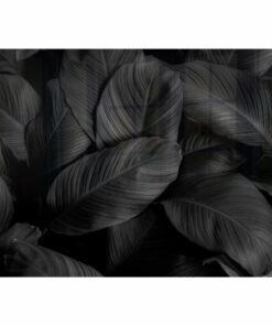 Parrot Feathers Hob Splashback (898 X 700 X 6mm) - SB9070BF