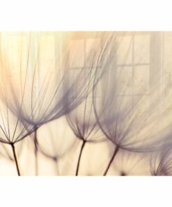 Parrot Dandelion Floret Hob Splashback (898 X 700 X 6mm) - SB9070DF